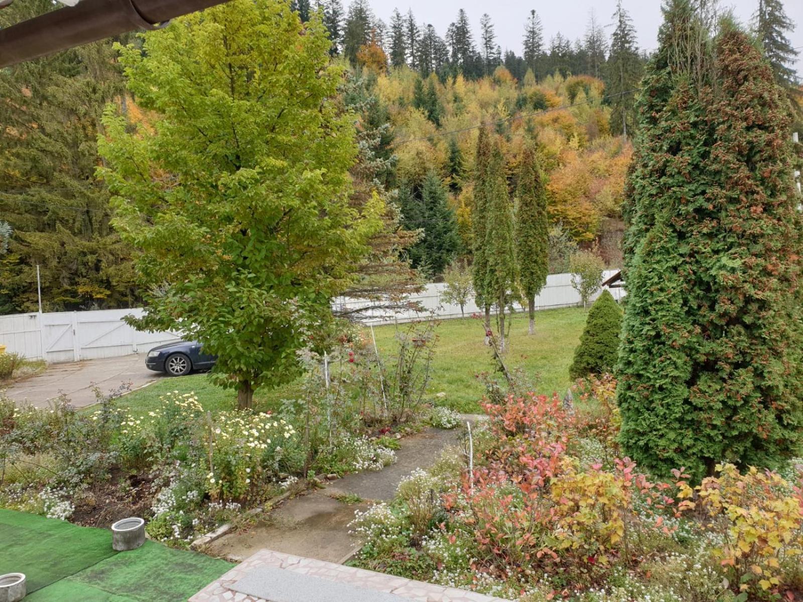 Voro Mold Hotel Гура Хуморулуй Екстериор снимка