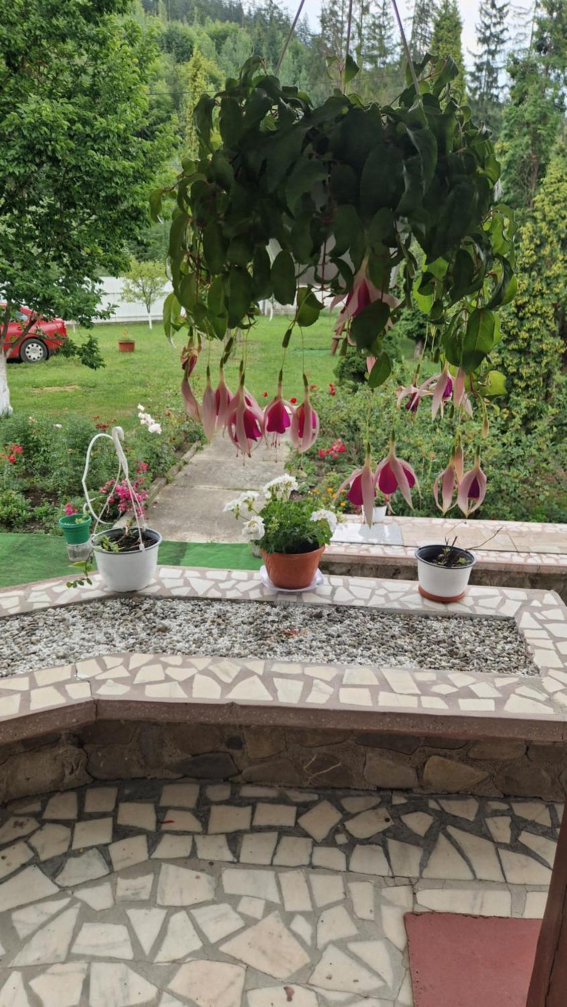 Voro Mold Hotel Гура Хуморулуй Екстериор снимка